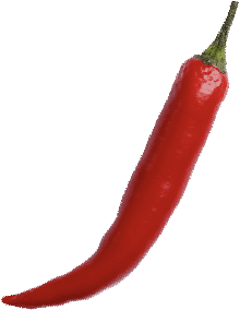 Wellesley Spice